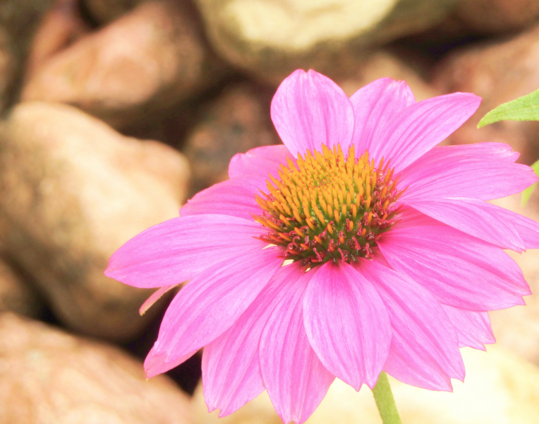 湖南省13种自学考试学习技巧(图1) 湖南省13种自学考试学习技巧(图1)