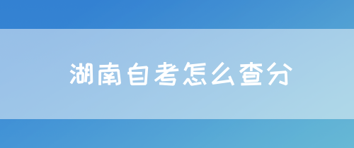 湖南自考怎么查分(图1) 湖南自考怎么查分?(图1)