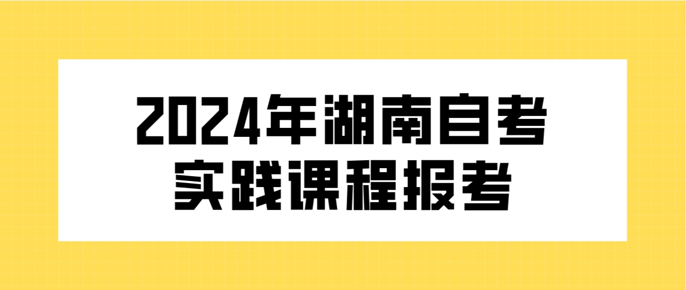 2024年上半年湖南自考毕业论文报考开始了！