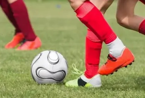 体育教育040201(本科段)自考专业信息