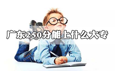 湖南250分能上什么大专?(图1)