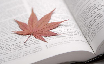 长沙市湾里区自考报名条件及自考时间指南(图1)