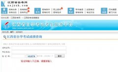 衡阳自考成绩怎么查询