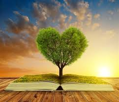 长沙自考新旧计划（或新旧课程）是怎样衔接（或对接）的(图1)