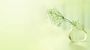 衡阳自考本科考研成功率大吗(图1)