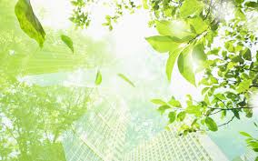 衡阳自考需要的要求和资格是什么(图1)