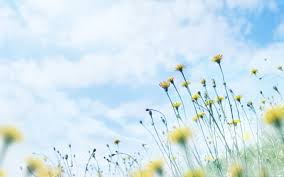 永州自考报名条件(图1)