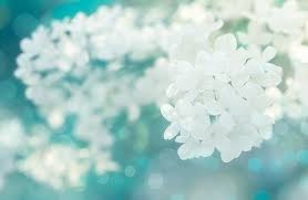 永州自考不用入学考试吗(图1)