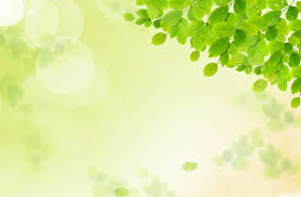 常德自考和专升本有什么区别(图1)