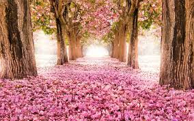 常德自考本科容易找工作吗？(图1)