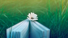 常德自考本科生可以继续考研吗?