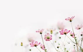 常德自考本科考研成功率大吗(图1)