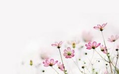 常德自考本科考研成功率大吗