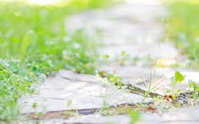 常德自考报考公务员有限制吗(图1)