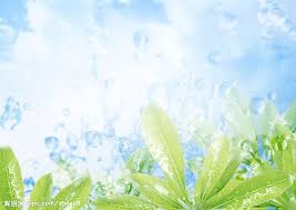 常德自考需要的要求和资格是什么(图1)