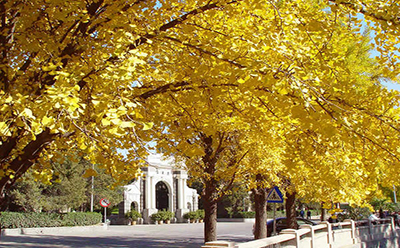 湘潭师范学院风景 2019年10月份湘潭自考《会计》专业考试课程安排(图1)