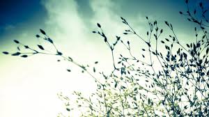 湘潭自考在社会上的认可度怎样(图1)