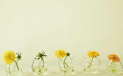 花朵 岳阳自考2020年报名时间(图1)