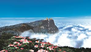 岳阳自考毕业之后待遇如何 岳阳自考毕业之后待遇如何(图1)