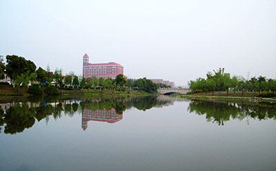 2019年10月份岳阳自考《护理学》考试课程安排(图1)