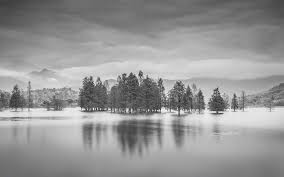 岳阳自考本科对专科生有用吗(图1)