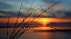 张家界自考本科没有学位 证书对考研有影响吗