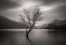 益阳自考本科和全日制自考本科有什么区别(图1)