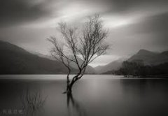 张家界自考本科和全日制自考本科有什么区别