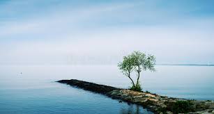 张家界自考申请学士学位条件(图1)