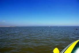 张家界自考真题都考过了还会再出吗(图1)