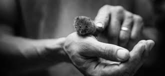 益阳自考在社会上的认可度怎样(图1)