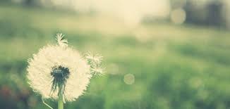 益阳自考真题都考过了还会再出么(图1)