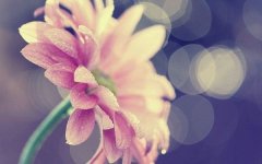 湖南自考本科，天赋就是不断努力。